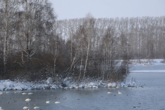 Фотография Праздник «Алтайская зимовка» 2014 25