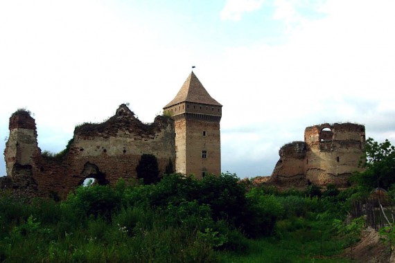 Фотография Бачская крепость 1