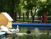 Искусственное озеро для водоплавающих птиц