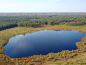 Заповедник «Большая Кокшага»