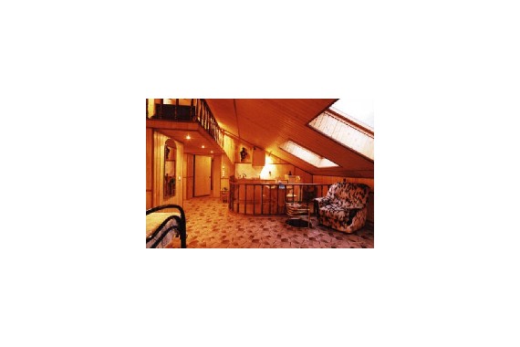 Фотография Мини-отель «Моисеев & Co» 0