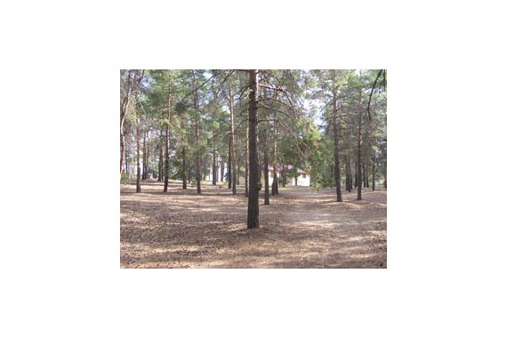 Фотография База отдыха «Связист» 0