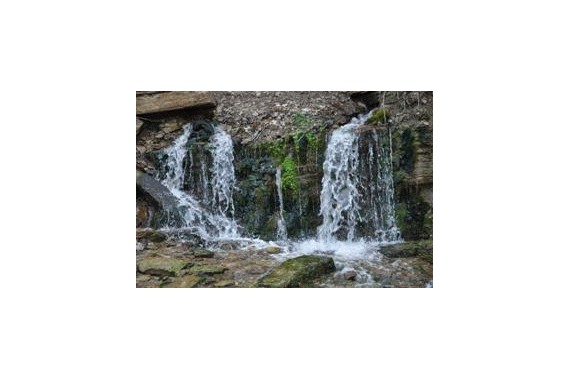 Фотография Гостевой дом «Изборск-Парк» 9