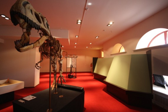 Фотография Вятский палеонтологический музей 2