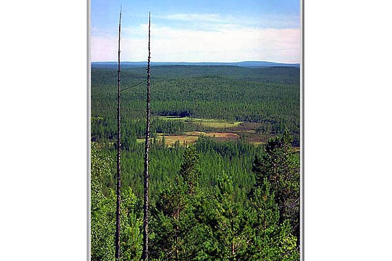 Фотография Тунгусский метеорит 0