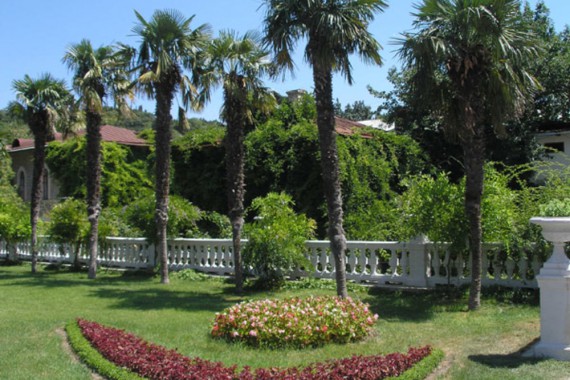 Фотография Никитский ботанический сад 1