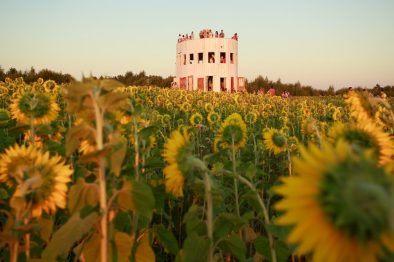 Фотография Фестиваль Архстояние 15