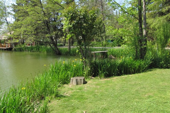 Фотография Эко-отель «Озеро Дивное» 5