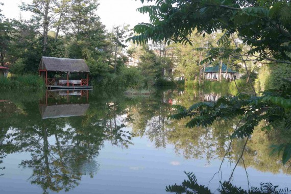 Фотография Эко-отель «Озеро Дивное» 4