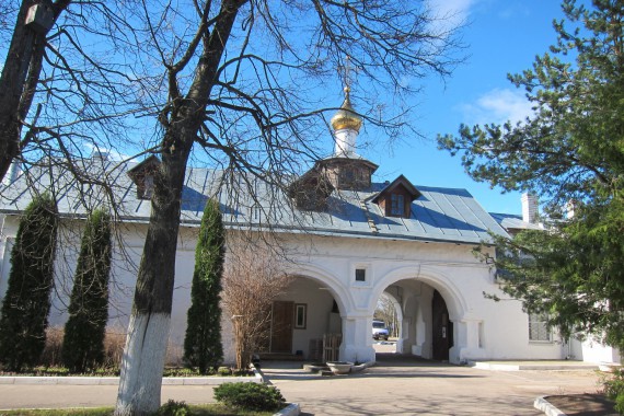 Фотография Снетогорский монастырь 1